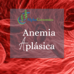 Anemia aplásica secundaria y sus posibles tratamientos